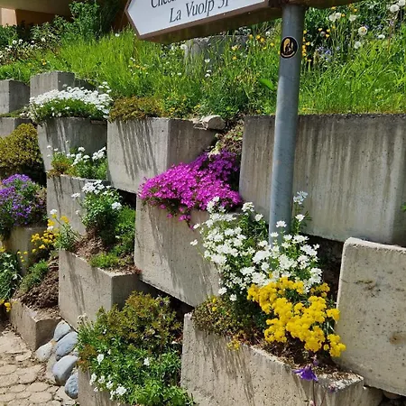 Chesa Bellaval, Haus Chamuotsch 2 1 2-zimmerwohnung Apartamento *