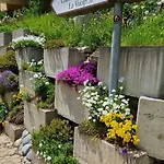 Chesa Bellaval, Haus Chamuotsch 2 1 2-zimmerwohnung Apartment *