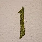 Chesa Bellaval, Haus Chamuotsch 2 1 2-zimmerwohnung Silvaplana